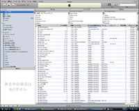 iTunes̉